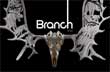 Branch